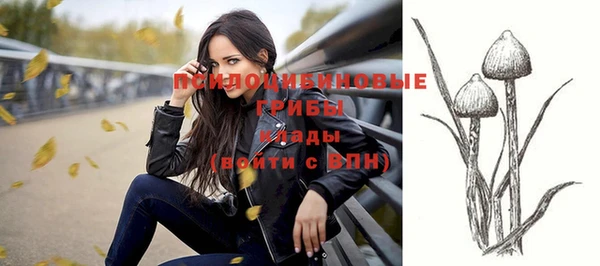 марки nbome Гусиноозёрск