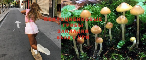 героин Гусев