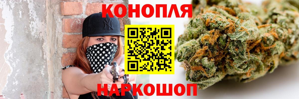Конопля планчик Отрадный